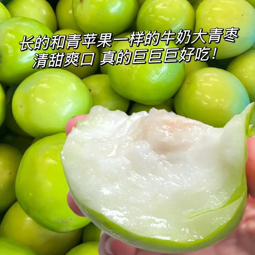 【秋季上新】苹果枣，清脆爽口！1斤装