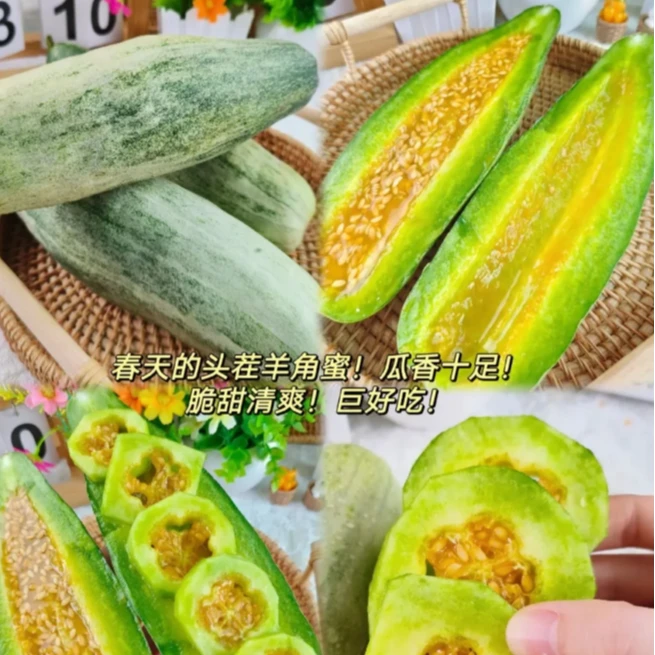 羊角蜜一个约400g，春天里的头茬 瓜香十足！