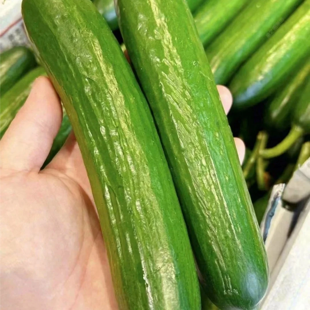 【爽脆多汁】水果黄瓜1根