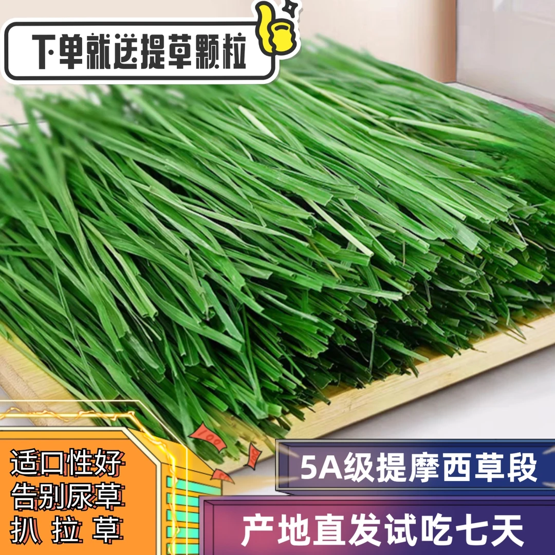 【5A级多叶草段】提摩西草新烘干草兔子粮食荷兰猪草料甘肃兔干草