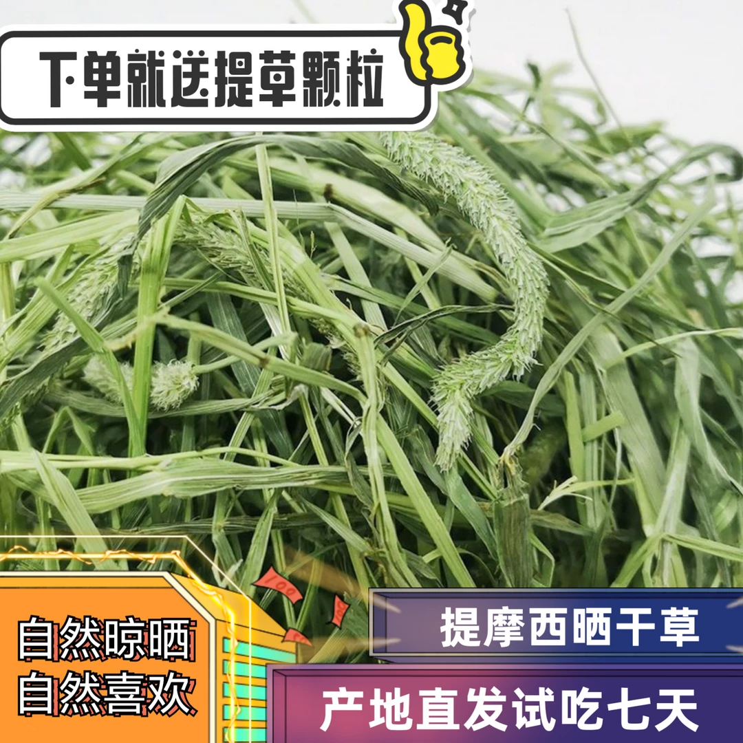 【精选晒干草】25年提摩西干牧草料晒干饲料龙猫兔子粮食主食草豚鼠
