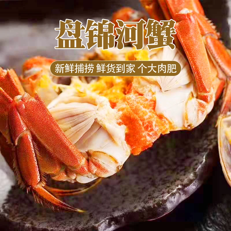 【活蟹-全公蟹】盘锦河蟹全公蟹2.3-2.6两/只一箱10只