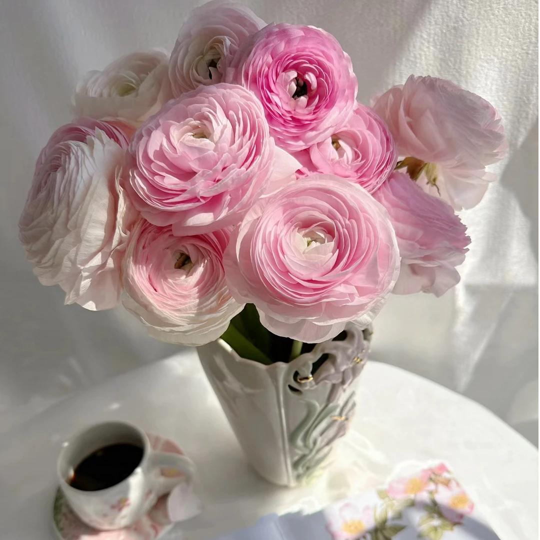 【顺丰冷链包邮】1扎10支荷花酥洋牡丹鲜花花期复古重瓣水养插花