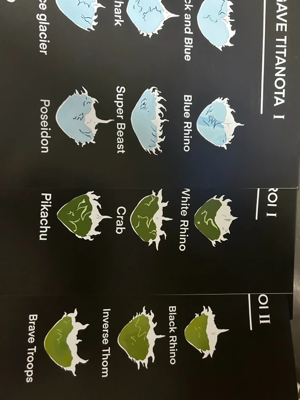 龙舌兰图鉴三张一套