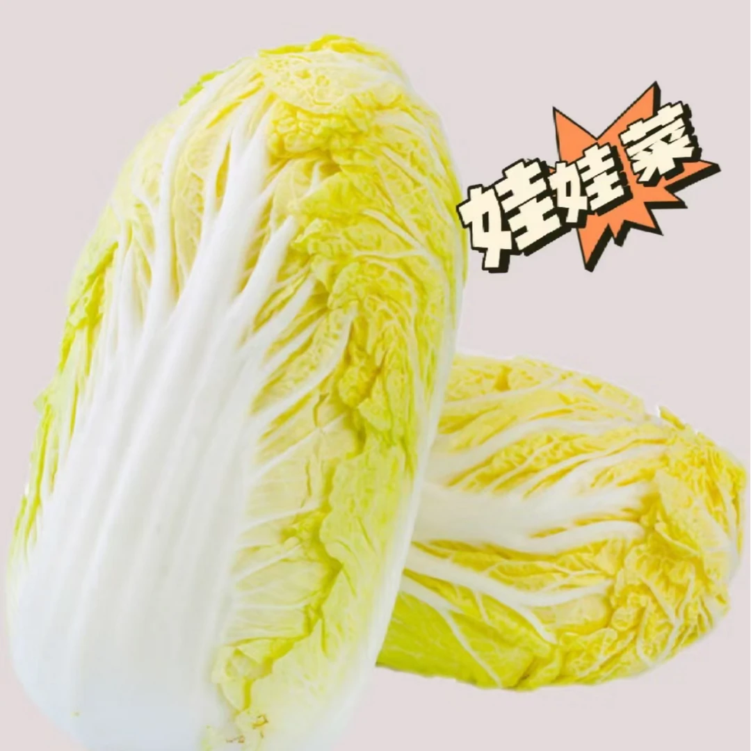 新鲜娃娃菜现摘现发5斤包邮涮火锅必备