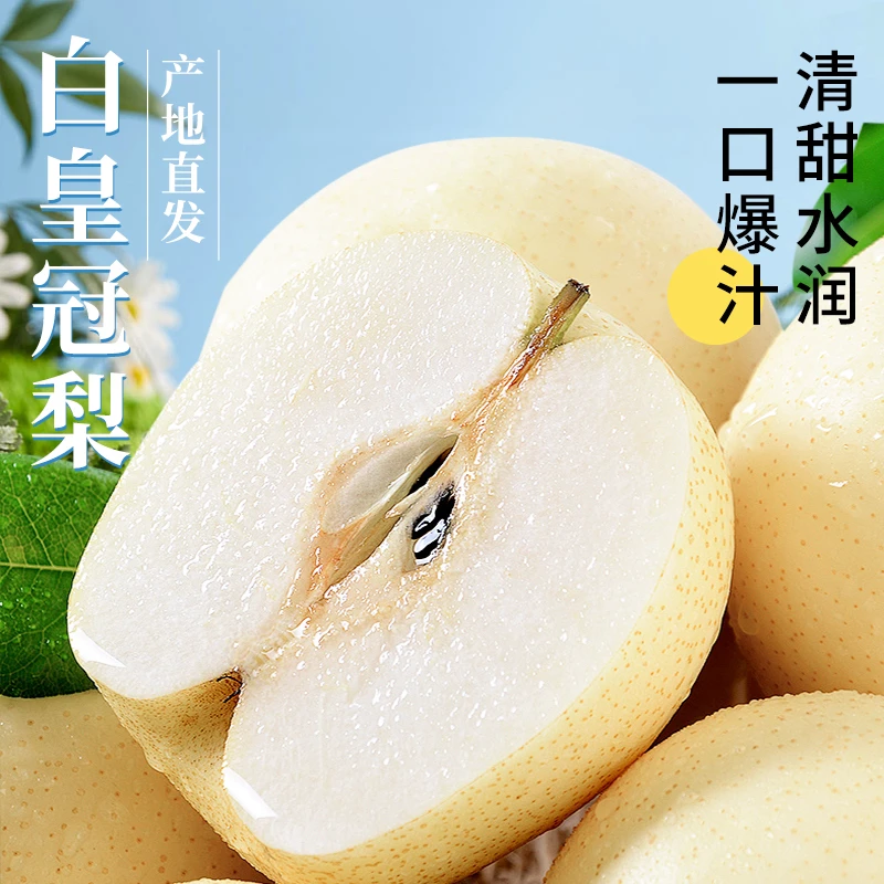游小艺河北皇冠梨 净重4.5斤 7-12粒 新鲜应季 水果 坏果包赔