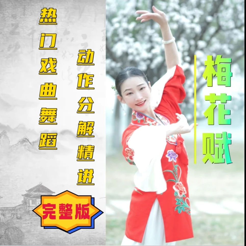 热门戏曲舞蹈《梅花赋》完整版精讲 简单易学成人舞蹈中老年舞蹈