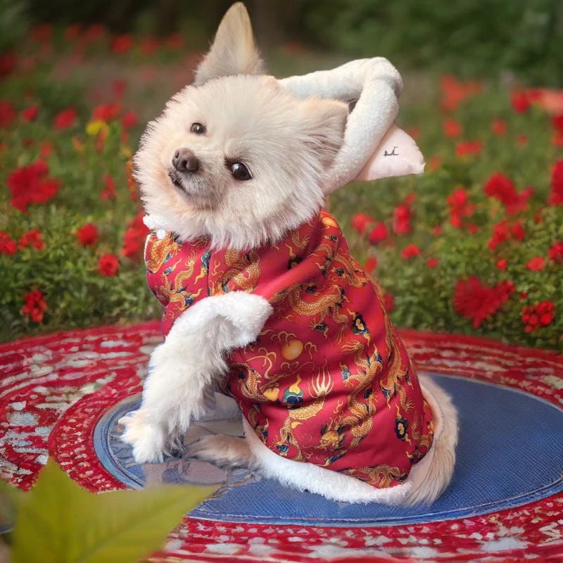 宠物龙袍加厚棉袄狗狗衣服秋冬款泰迪柯基小型犬猫咪衣服新年唐装