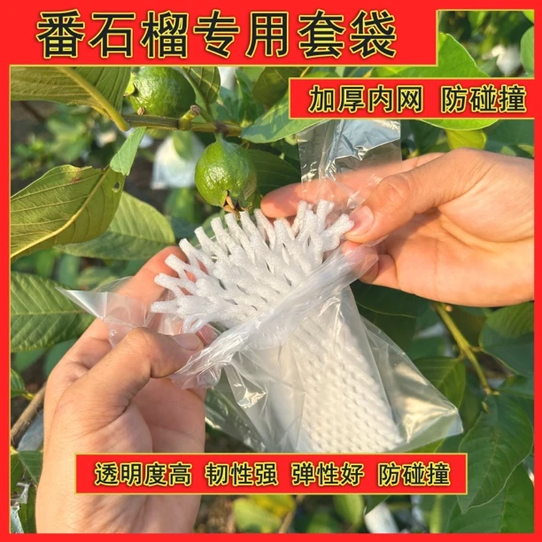 番石榴套袋芭乐防病害虫网袋专用一体泡沫包装袋自带排水排气孔