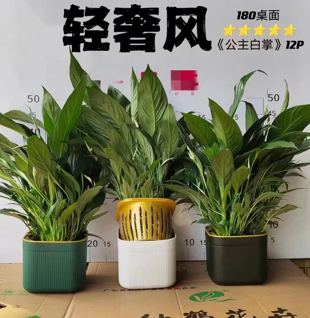 北欧风竖纹懒人花盆自动吸水清香木绿植侧面加水口栀子花吸水花盆