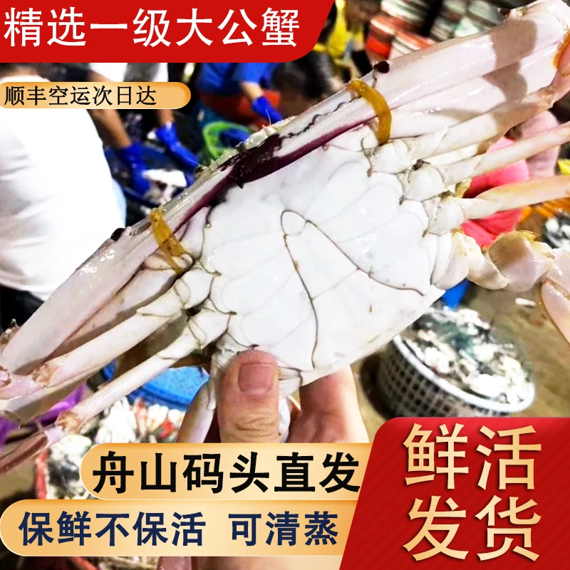舟山鲜活梭子蟹特大公蟹海蟹肉蟹新鲜螃蟹活体发货保鲜不保活