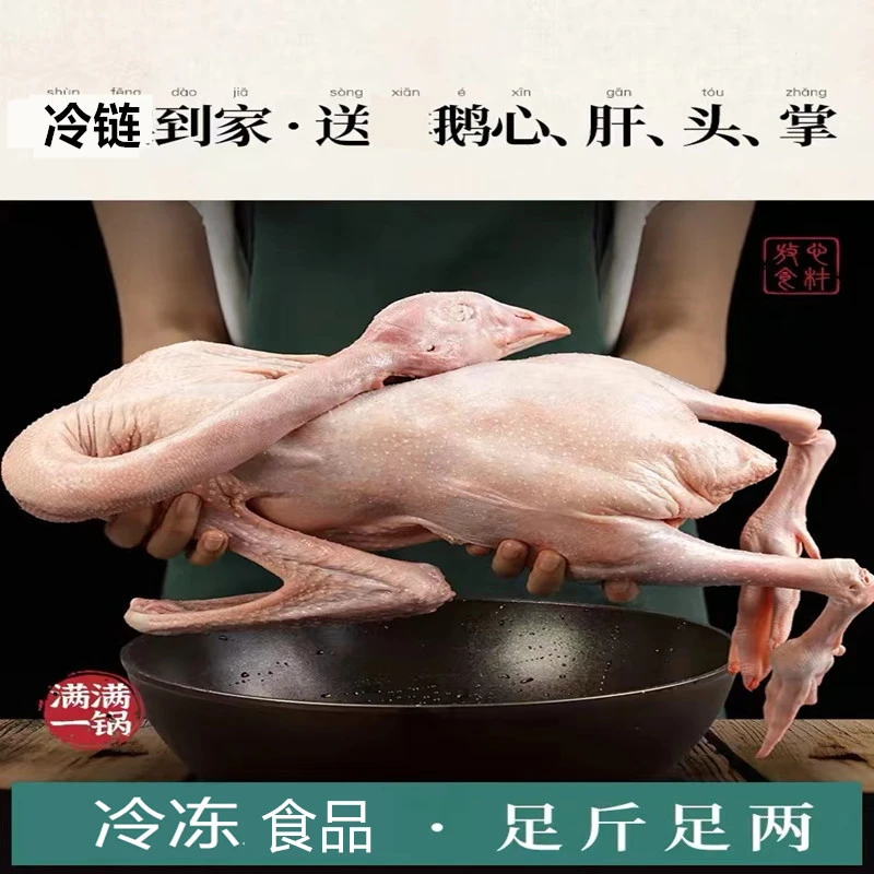 【抢两只大鹅】大白鹅仔鹅青年鹅带头带爪 不带奔头不带胗