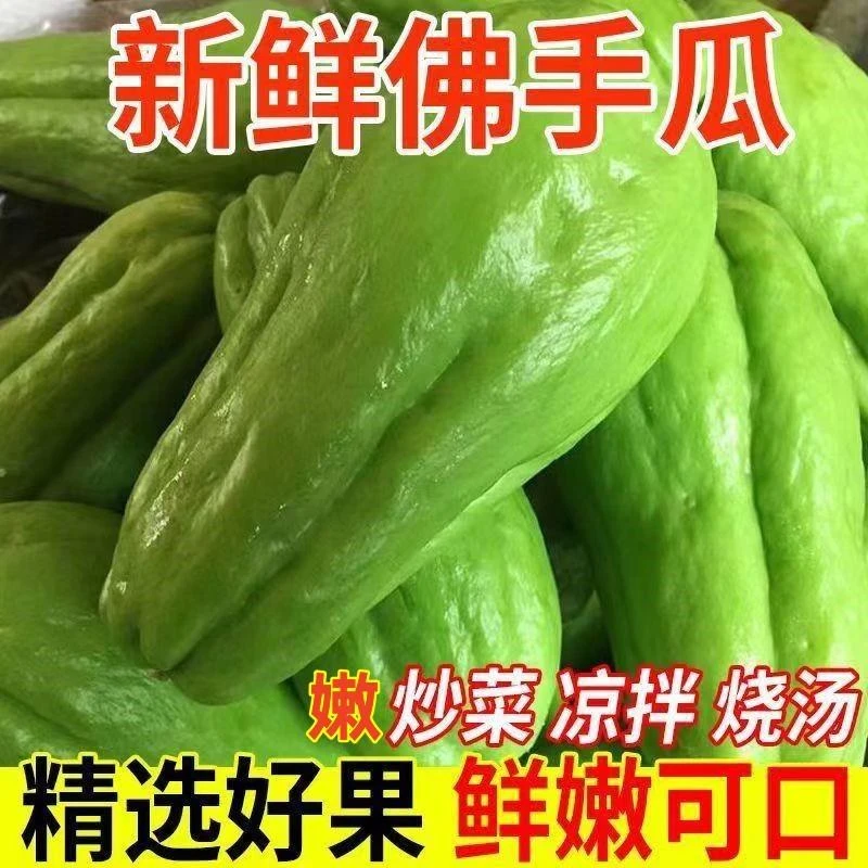 【当季】新鲜佛手瓜洋瓜窝瓜农家种植现摘现发捧瓜寿瓜新鲜蔬菜5斤