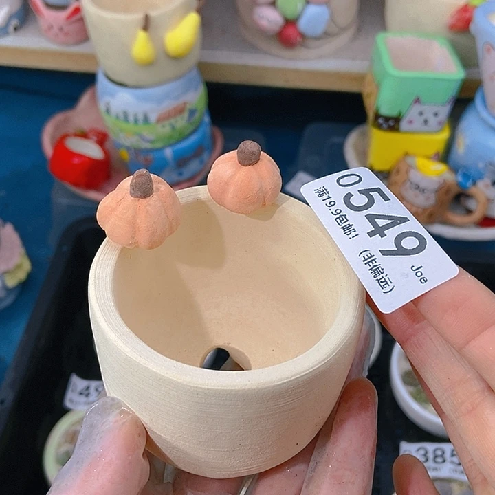 大舅生石花肉锥多肉549