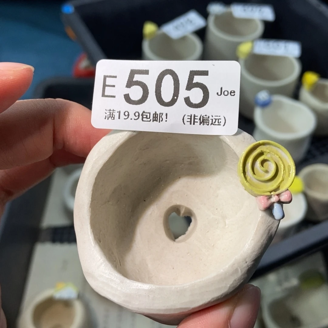 大舅生石花肉锥多肉505