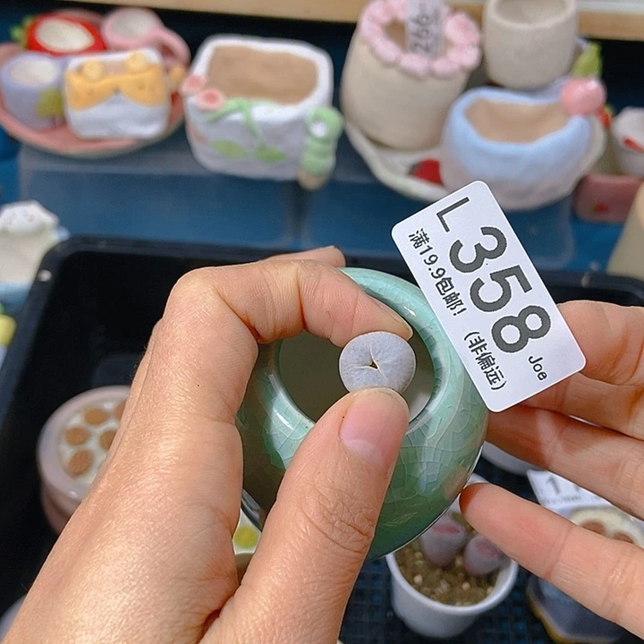 我***?大舅生石花肉锥多肉358