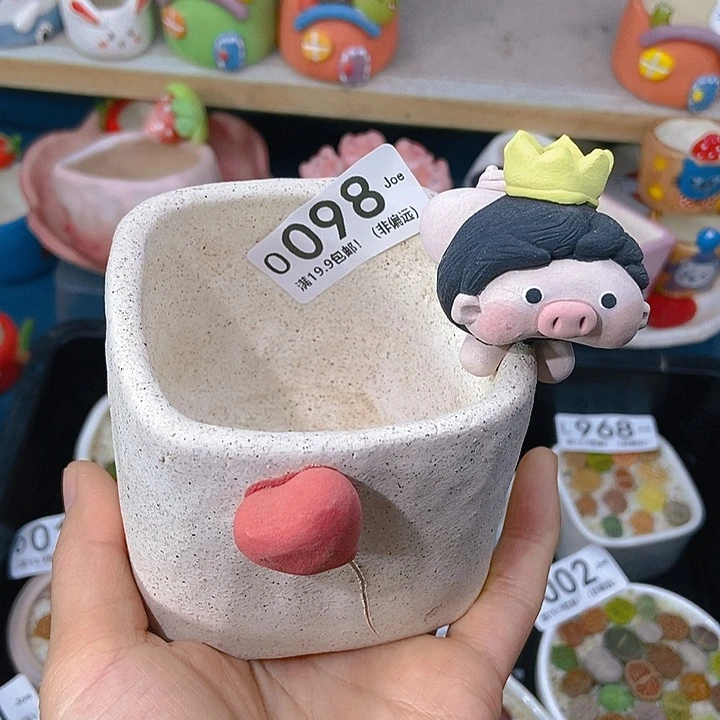 ?***?大舅生石花肉锥多肉098