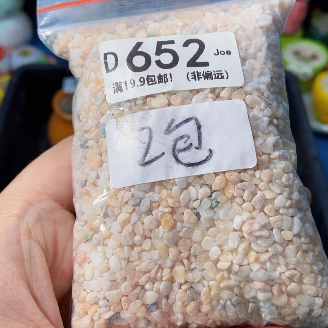 大舅生石花肉锥多肉2包粗铺面