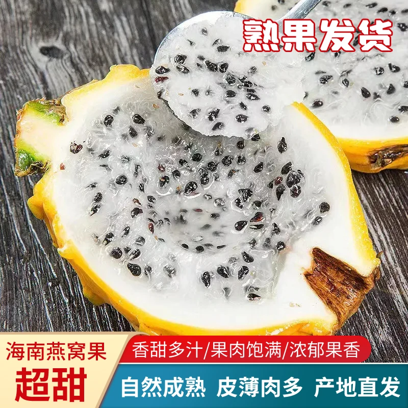 海南脆甜燕窝果麒麟果净果2-4斤精品礼盒装  新鲜采摘果园直发