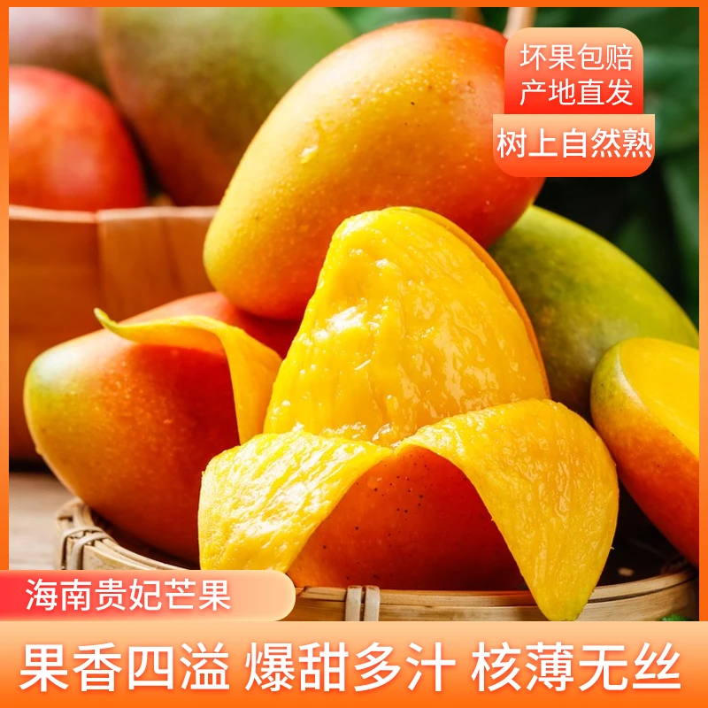 海南树上熟贵妃芒果无催熟树上熟精品礼盒净果3-5斤新鲜香浓多汁