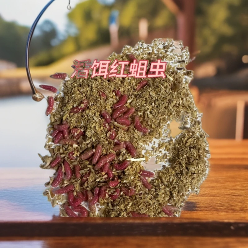 钓鱼鲜活蛆虫活体昆虫鱼饵垂钓溪流河流湖泊