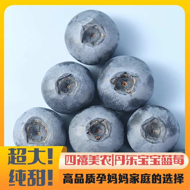 「宝宝蓝莓」丹东产区蓝莓顺丰包邮现采现发宝宝辅食优质优质营养
