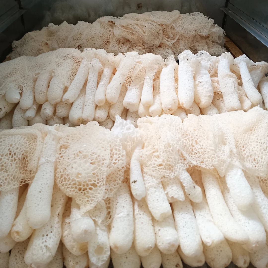 新货竹荪干无硫煲汤特级食材食用菌