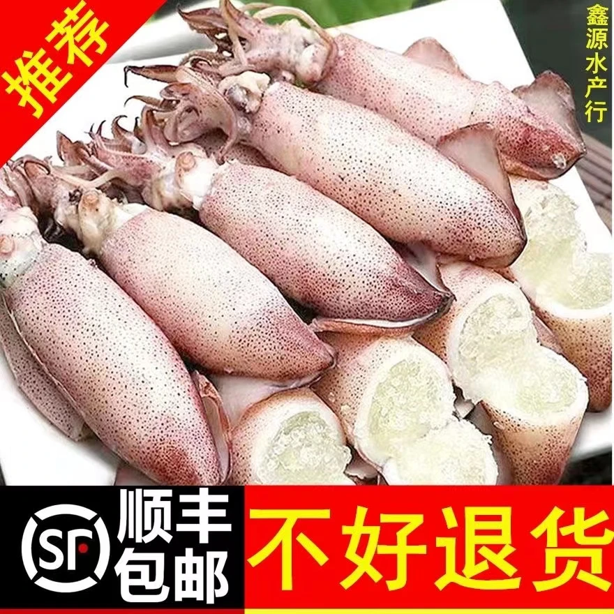 【顺丰】全籽籽乌海兔子墨鱼仔鲜活半熟冷冻笔管鱼乌贼鱿鱼海鲜水产