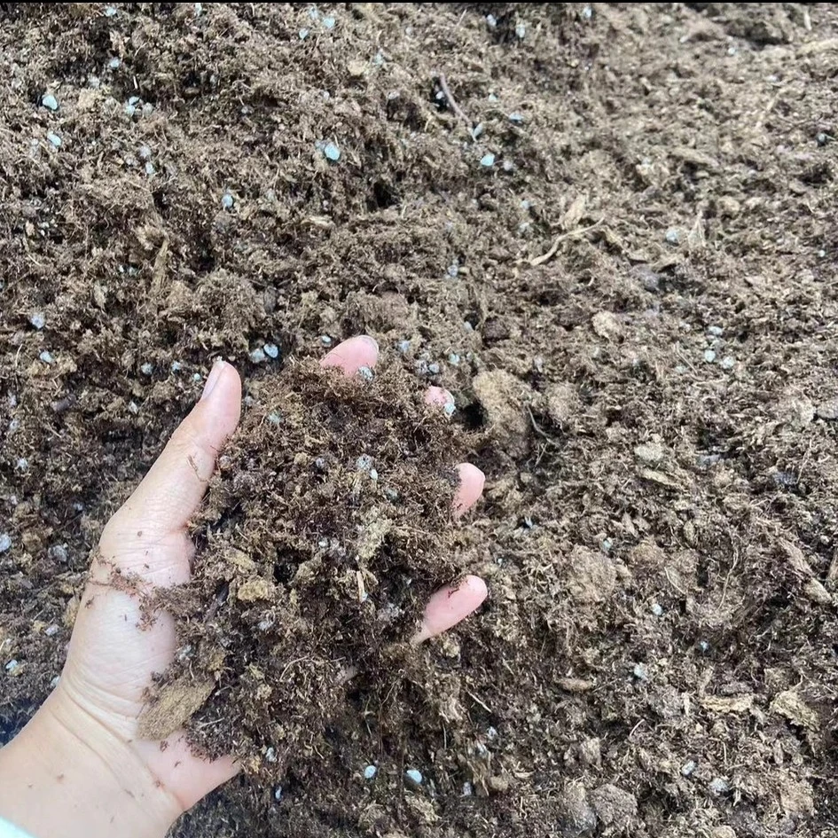 1000克【基地自己调配的营养土】营养土松软透气保水保肥不伤根