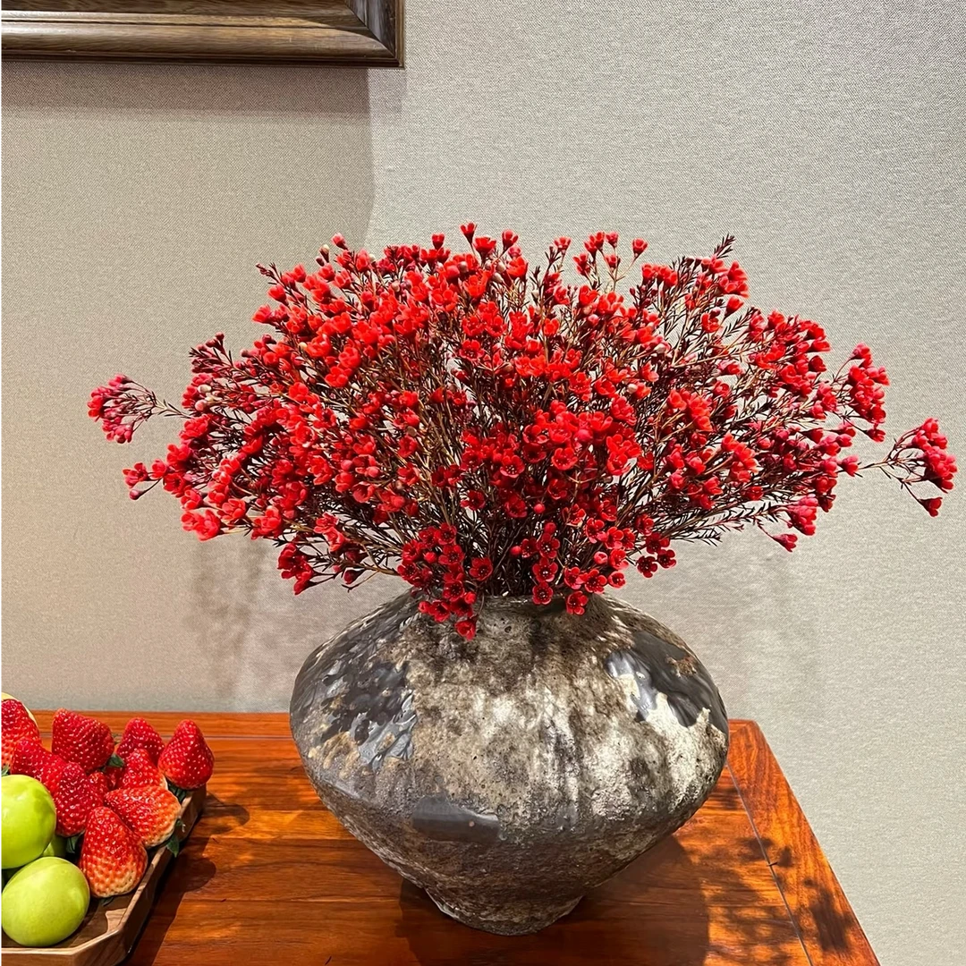 【买一扎送一扎】年宵花澳洲腊梅高级感云南基地直发家居好物