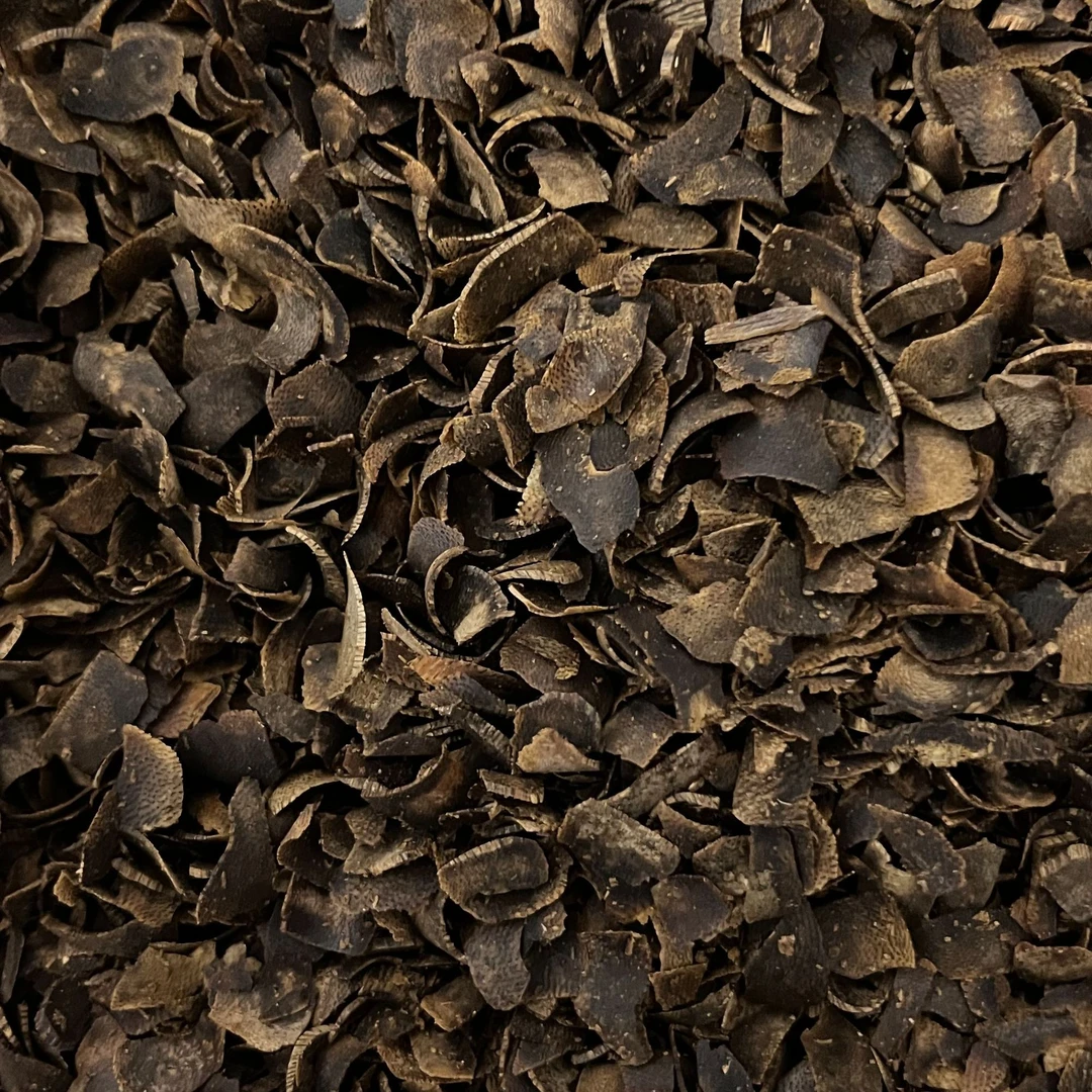 张勺子树心油切片