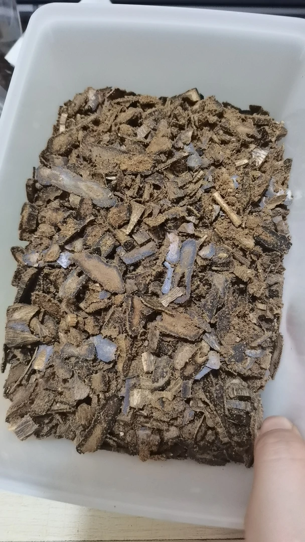 黑棋车珠碎料沉香碎料莞香女儿香多样性发10克（拍3发5）