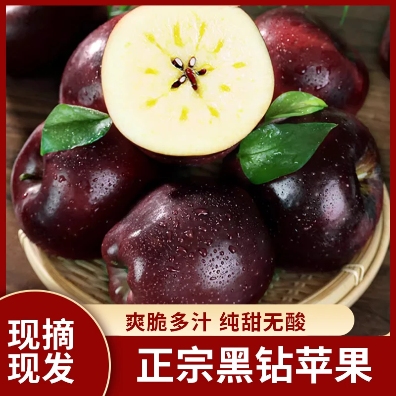 云南昭通黑钻红蛇黑卡苹果天然粉糯纯甜多汁冰糖心新鲜采摘包邮