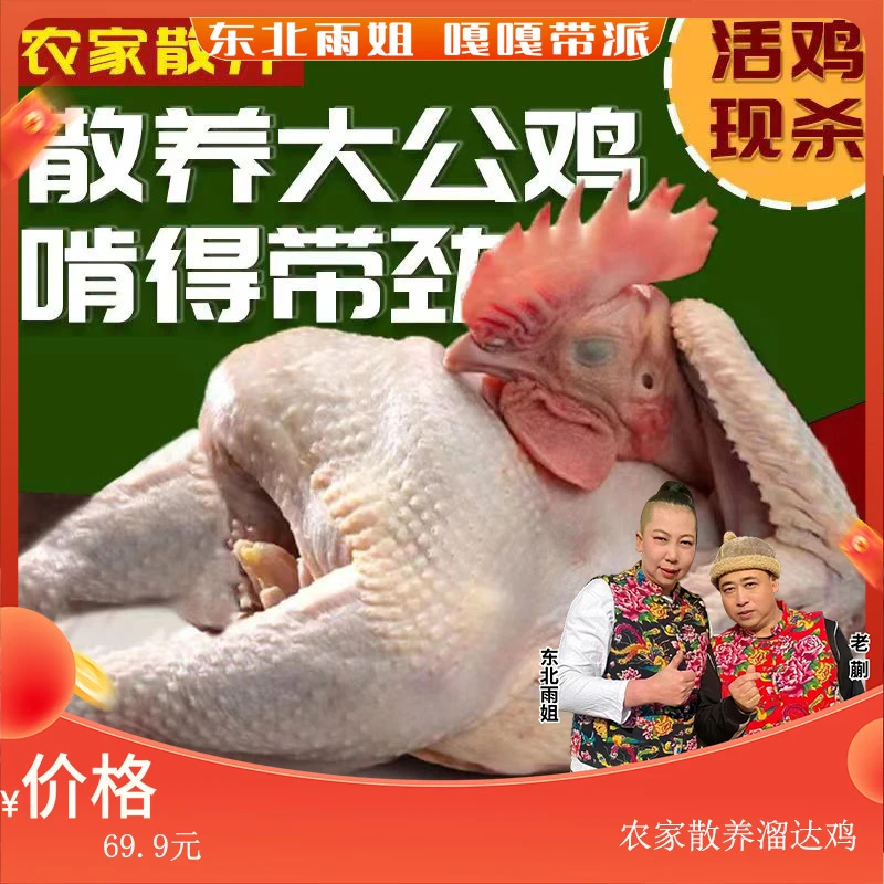 东北溜达公鸡4斤左右带心肝不带鸡胗