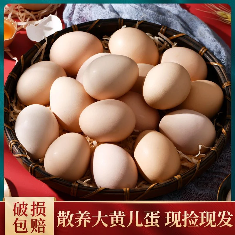 一箱鸡蛋破损包赔10枚正宗散养土鸡蛋现捡新鲜草鸡蛋营养健下蛋