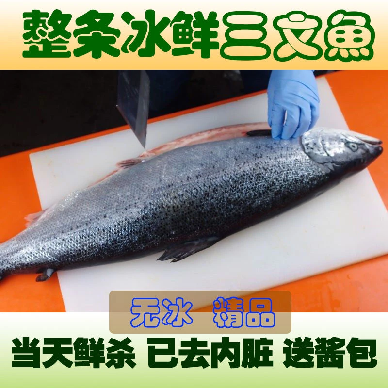 6斤【三文鱼整条】新鲜伊犁勒克顺丰冷链虹鳟新疆国产三文鱼冰鲜4斤