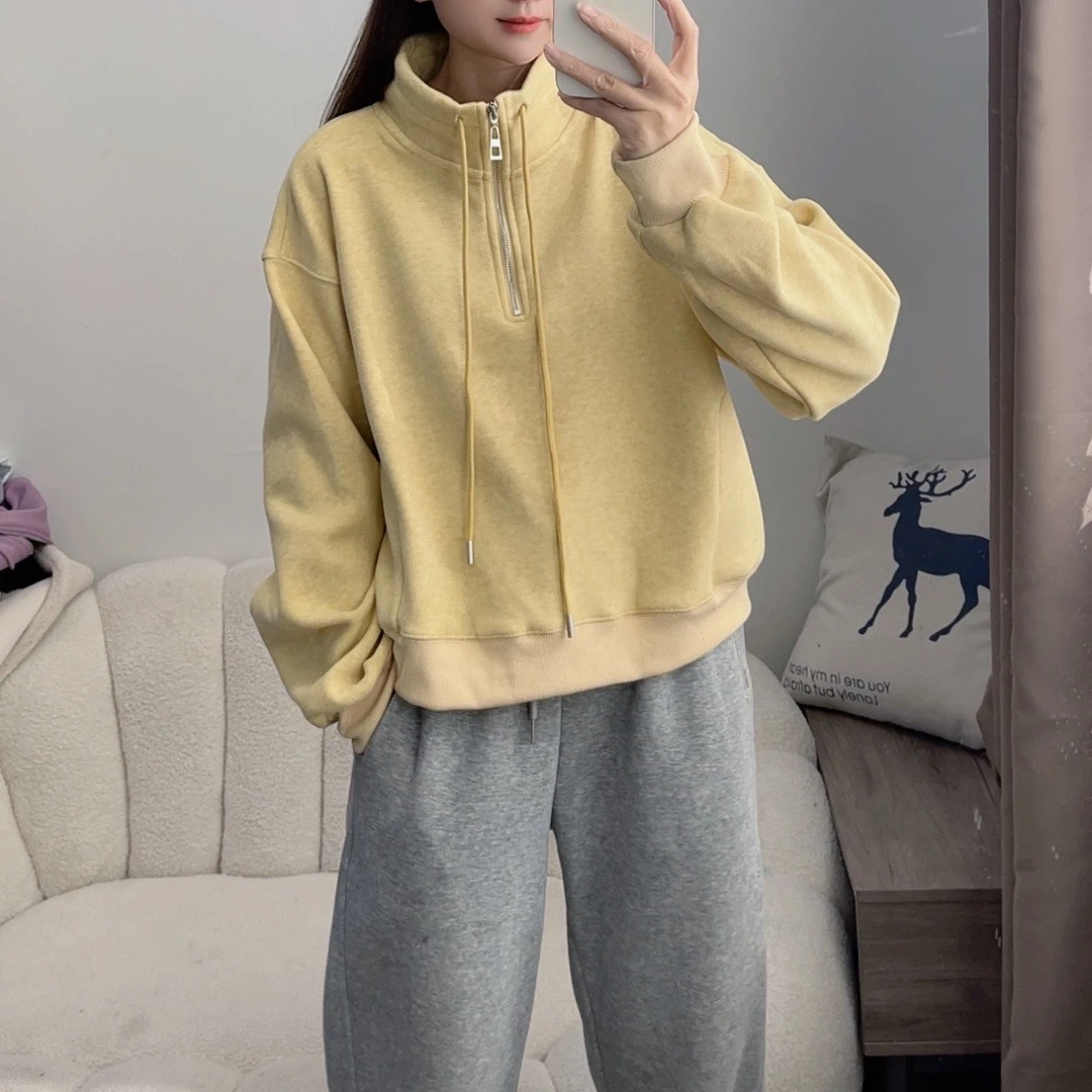 韩系加绒立领卫衣女2024秋冬慵懒宽松设计感休闲DYY2532
