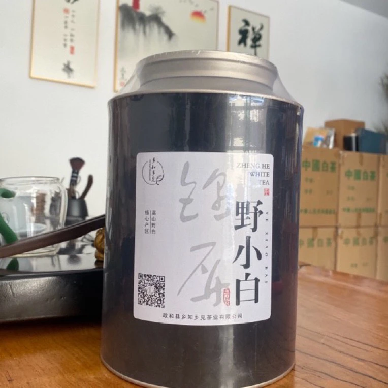 贡眉政和白茶锦屏野小白罐装125克