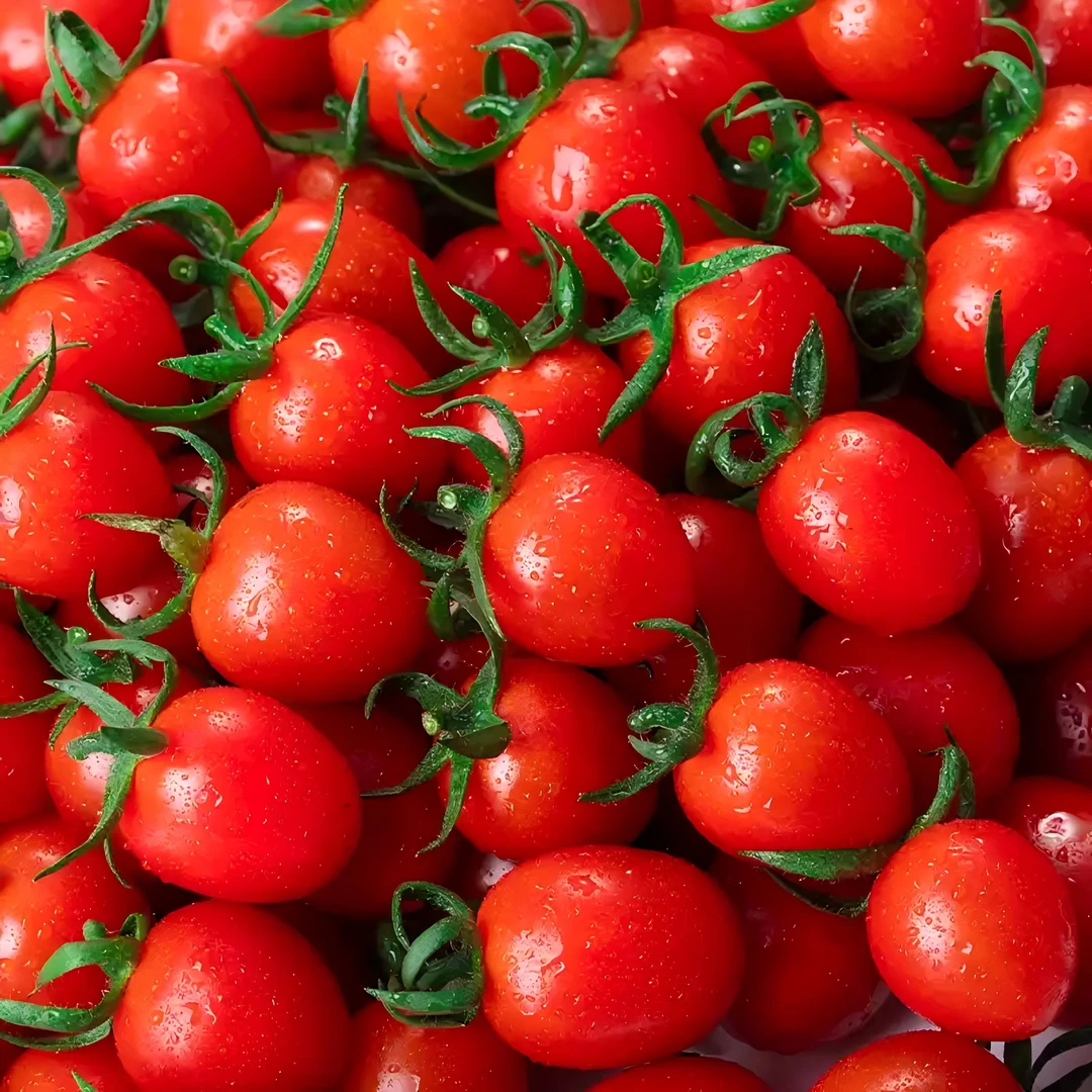 广西电白玲珑小番茄脆甜多汁1