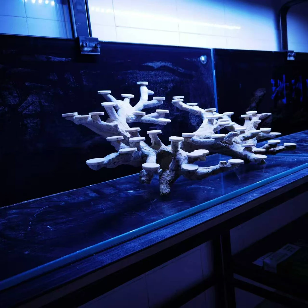 120海缸造景、死石造景活石造景、爪洼石造景免爆藻