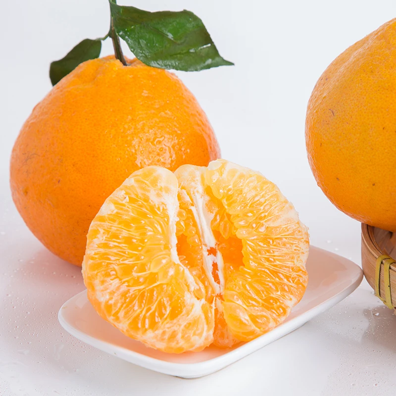 四川春见耙耙柑4.5斤新鲜采摘自然熟酸甜多汁爽口水果