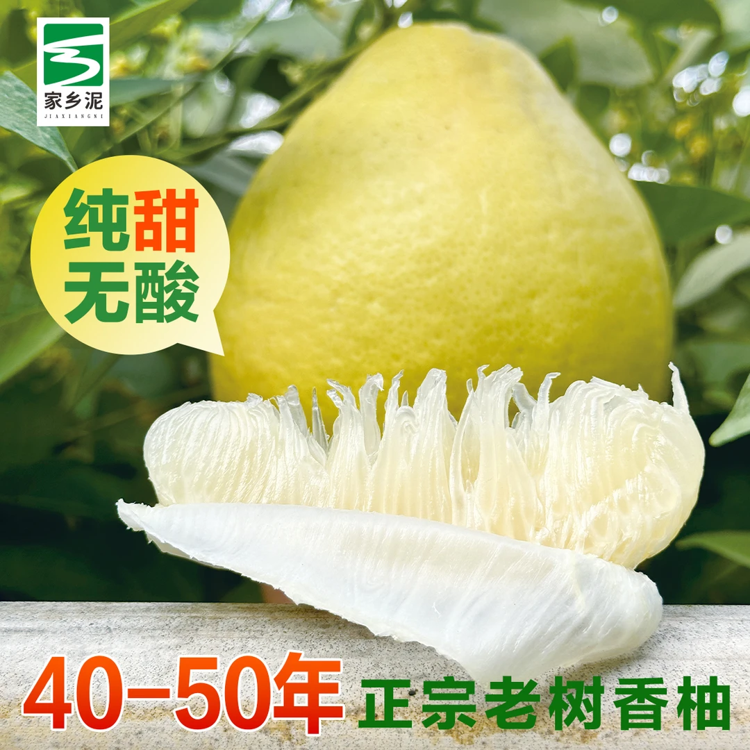 江永香柚老树沙田柚子纯甜无酸应季水果农户自种孕妇老人食用果子