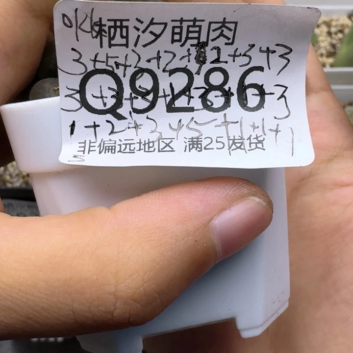 O*K286......1盒...