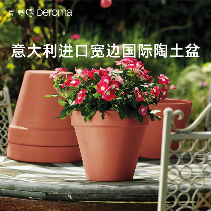 帝罗马花盆青野蝴蝶兰多肉国际专用白色红陶摩卡deroma陶瓷陶盆
