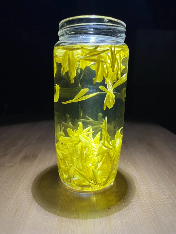 大山乌头采明前高山黄金芽