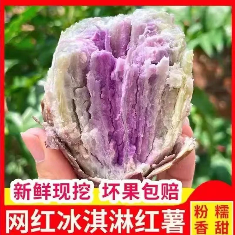 正宗新鲜高州网红沙地冰淇淋番薯又粉又甜又咔劲粉糯香甜的番薯
