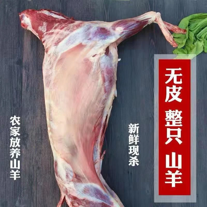 烤全羊新鲜羊肉现杀小羔羊非烤肉羊排烧烤羊整只全羊白条整只羊i