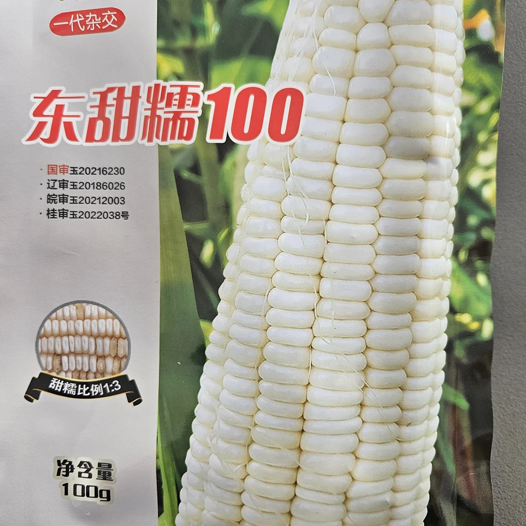 东甜糯玉米100g种子