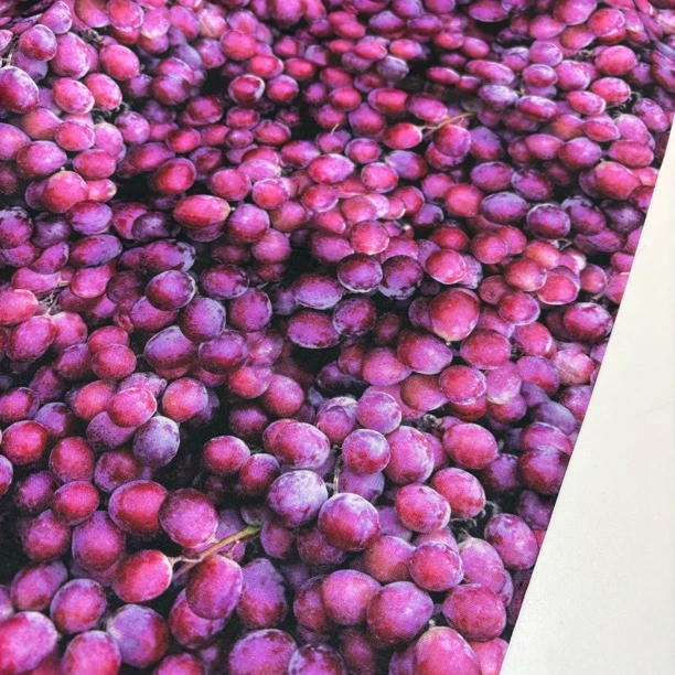 H0520 外来品牌棉布，一码=90*110cm，拍一件是一码