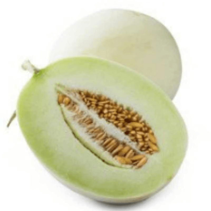 玉菇甜瓜1500-1600g/个